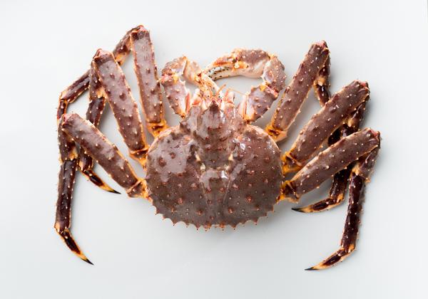 Live king crab 活帝王蟹$21..99 / Per lbs | Happ shop 1486